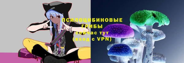 2c-b Бронницы