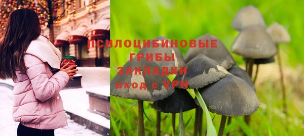 2c-b Бронницы